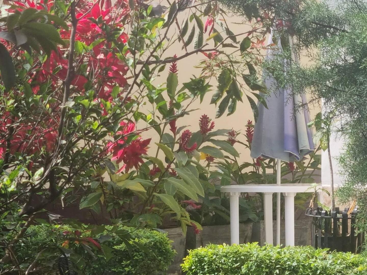 Tout Confort Avec Jardin Entree Bastos Yaoundé エクステリア 写真