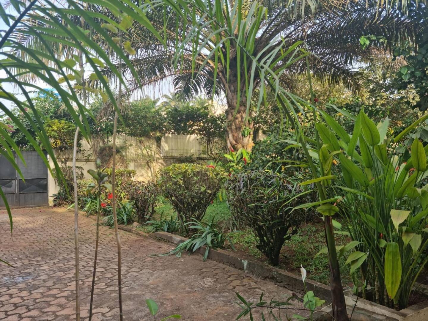 Tout Confort Avec Jardin Entree Bastos Yaoundé エクステリア 写真
