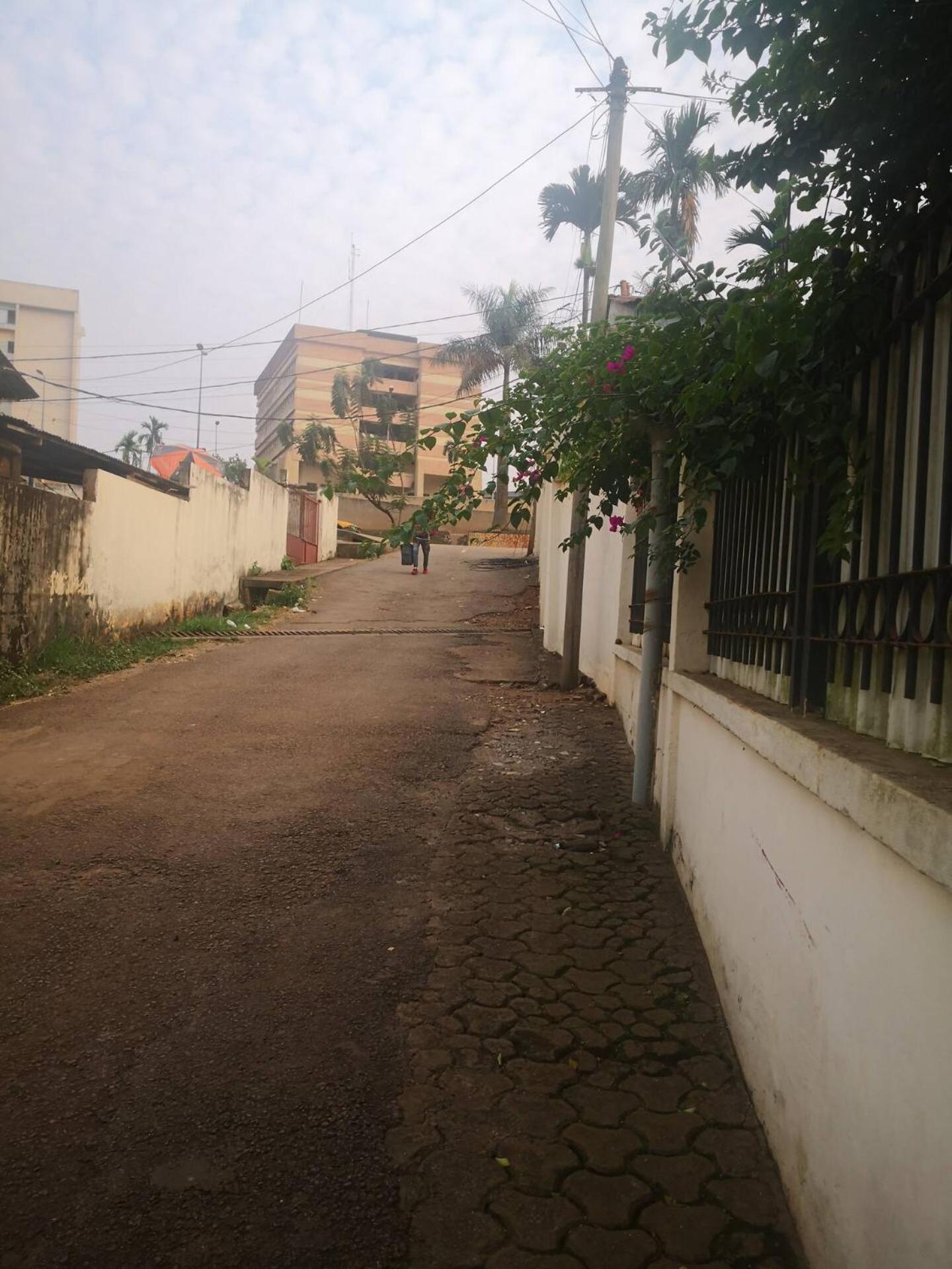 Tout Confort Avec Jardin Entree Bastos Yaoundé エクステリア 写真